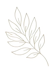 Decorative illustration of leaves